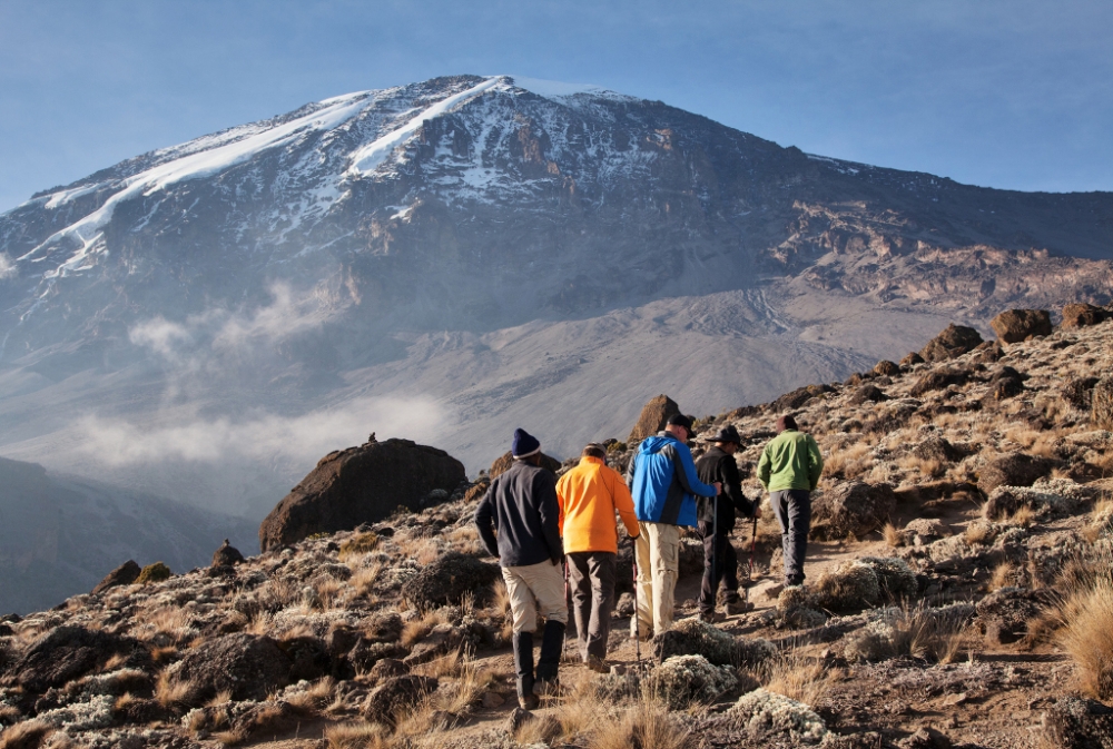 group of hikers on Mt. kilimanjaro