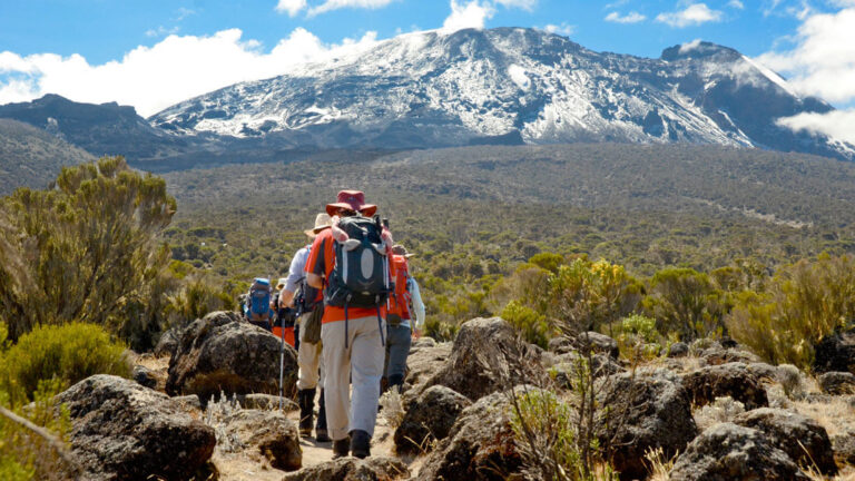 group of hikers walking towards kilimanjaro