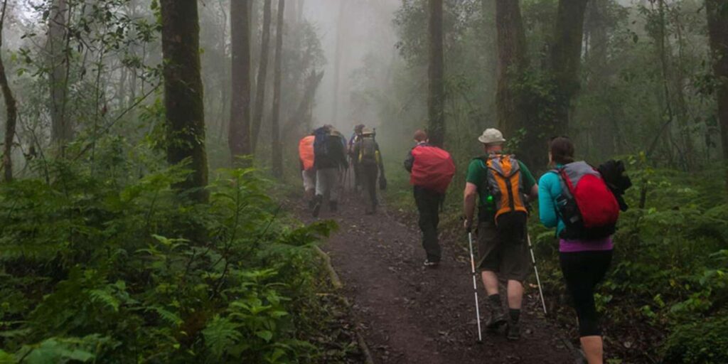HIKING KILIMANJARO VIA MARANGU ROUTE
