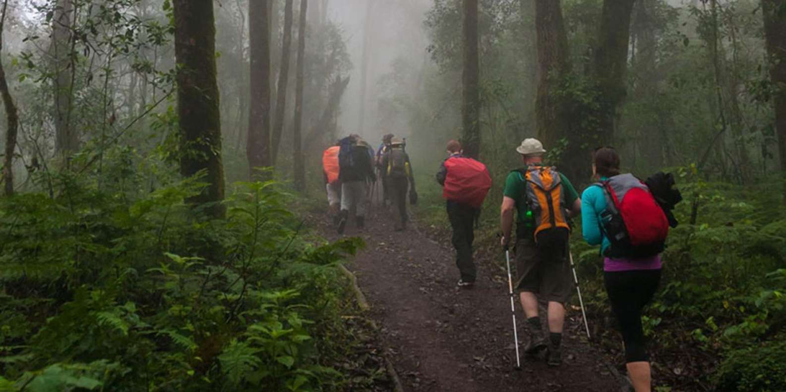 HIKING KILIMANJARO VIA MARANGU ROUTE