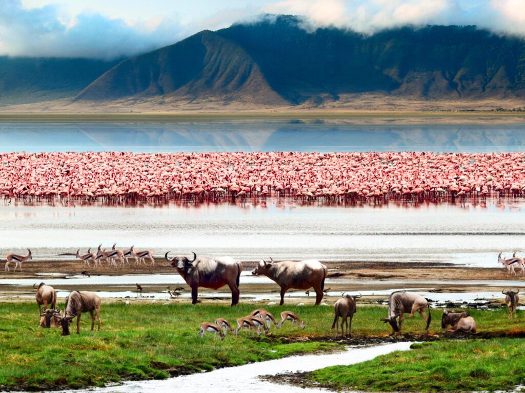 Ngorongoro Crater Safari at Lake Magadi