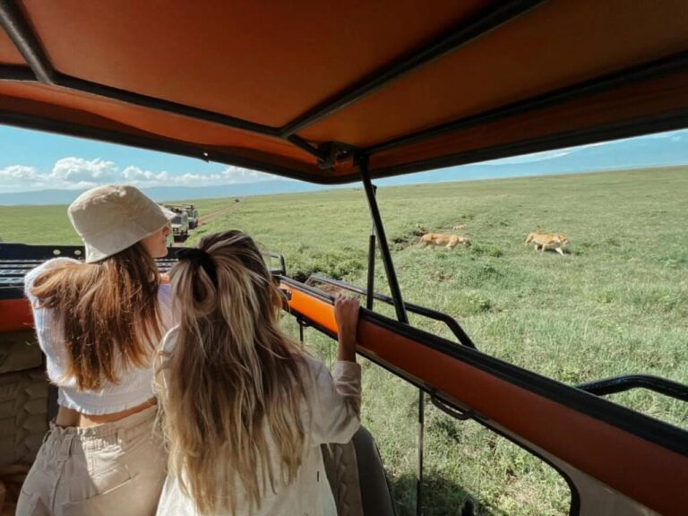 african delight safaris clients at ngorongoro on the 2 days safari viewing lions from safari vehicle