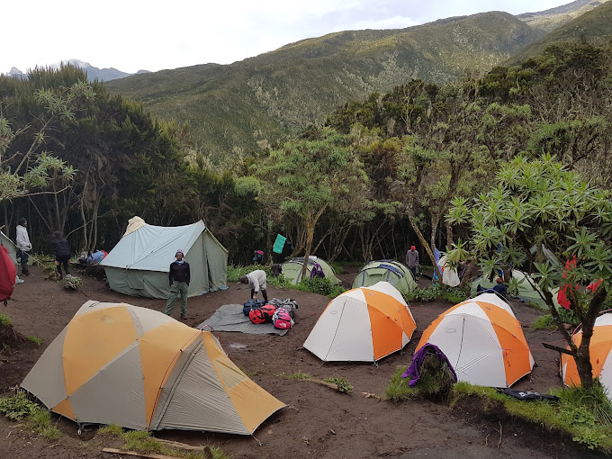 a lot of tents camping on kilimanajro