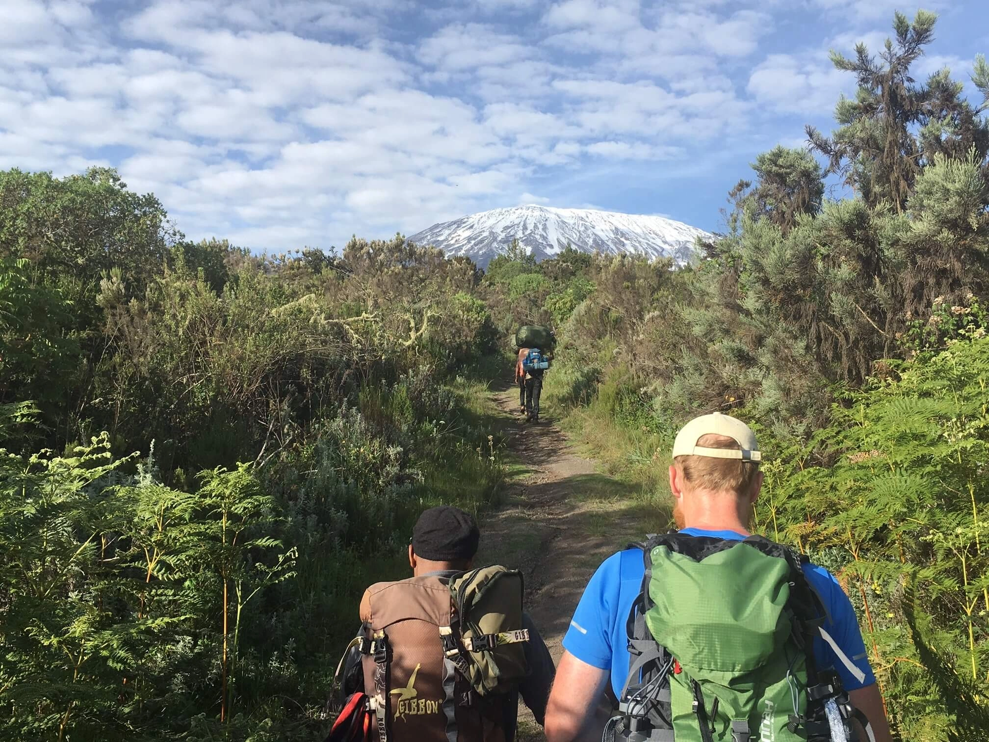 hiker on the marangu route full of forests