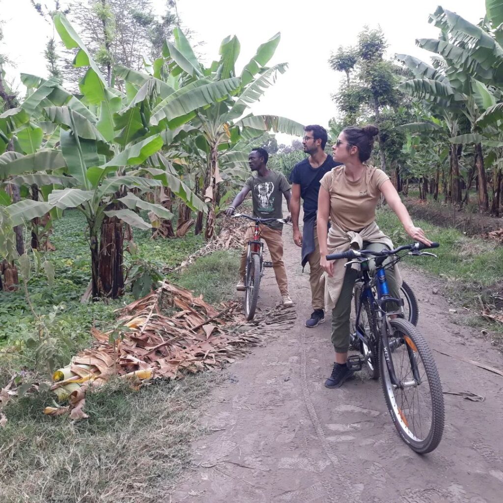 Tourists Riding bicycles in moshi around banana and coffee farms