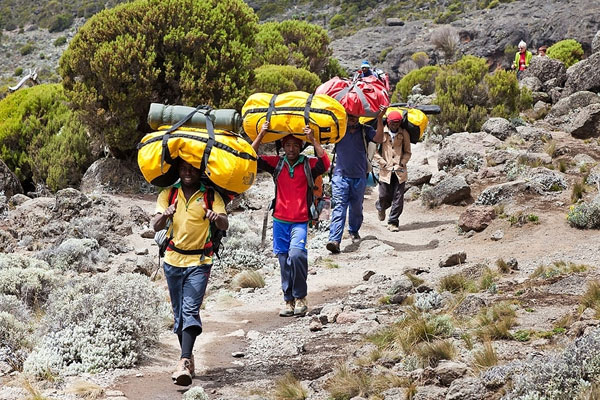 4 porters of kilimanjaro walking with baggage o their heads on our 6 days machame route hiking tour