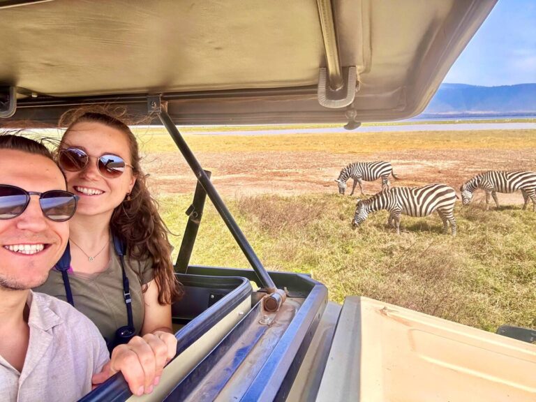 Tourists in an open roof safari vehicle taking a selfie with zebras near them