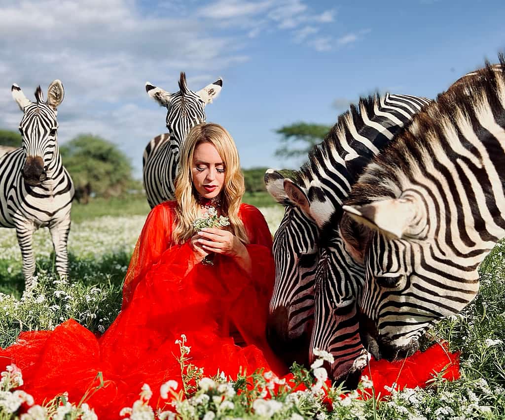 Tanzania safari 2026: serval wildlife day trip
