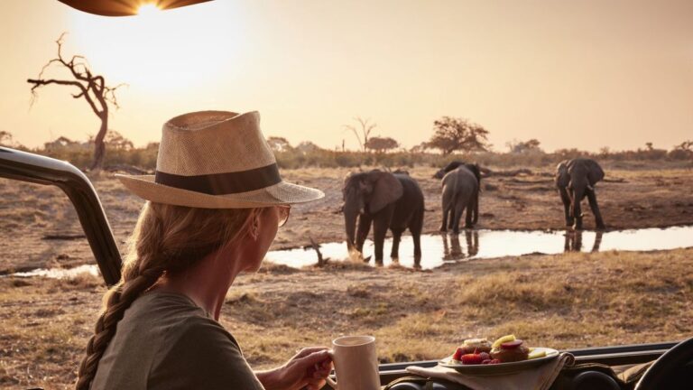 tourist enjoying elephants from her breakfast place at a luxury hotel in Tanzania