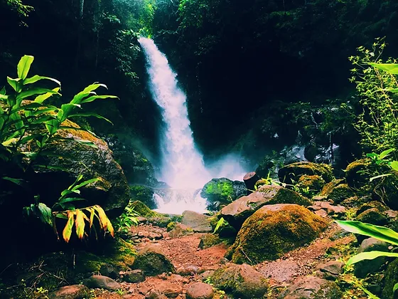 Kilasiya waterfalls Marangu