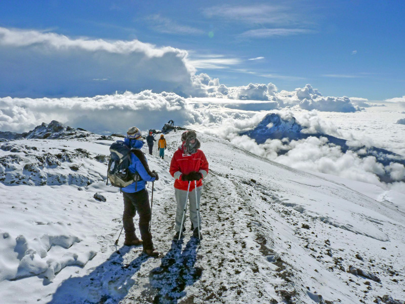 Kilimanjaro tours rongai route hikers on icy trails