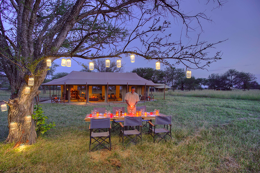 Outdoor Dinner on safari