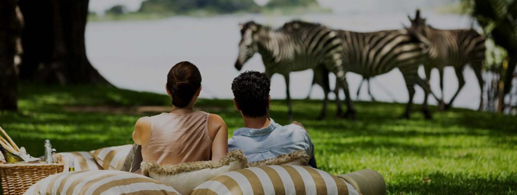 couple enjoying zebras at their camp on our tanzania honeymoonsafari tour