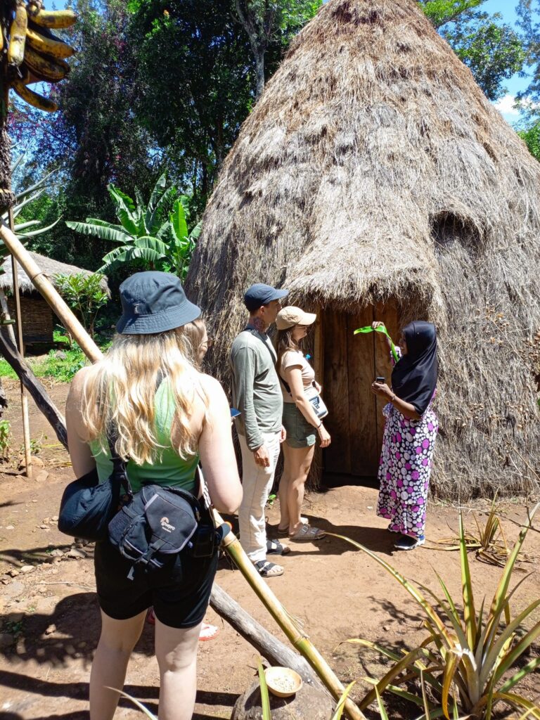 chagga huts