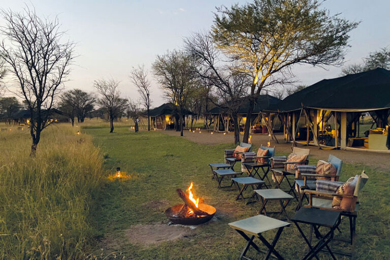 fireplace with chairs at nyasi tented camps