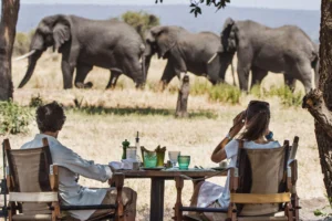 Two Tourists having breakfast in the wild while a herd of elephants pass by | Tanzania Safari 2026