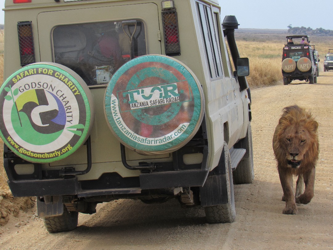 tanzania-safari-radar
