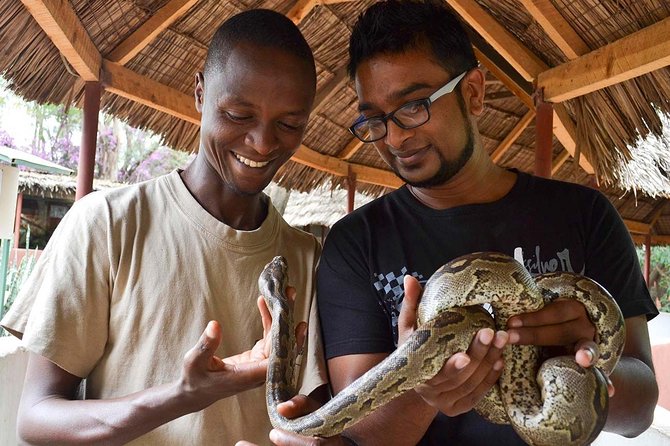 tourist holding snake with tour guide in Arusha at Meserani snake park