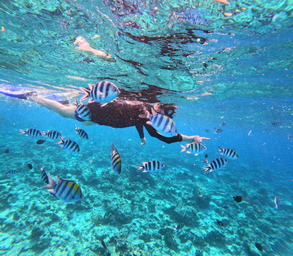 Tourist snorkelling in Mnemba Zanzibar