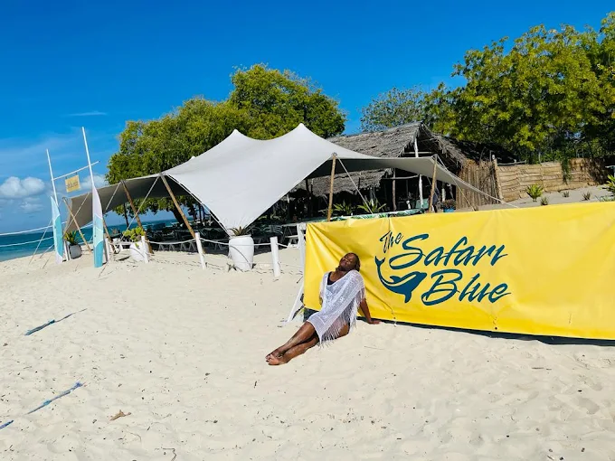 safari blue zanzibar 2025_2026