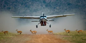 Tanzania Fly-in Safaris