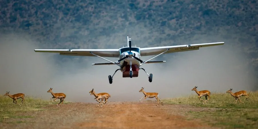 Tanzania Fly-in Safaris